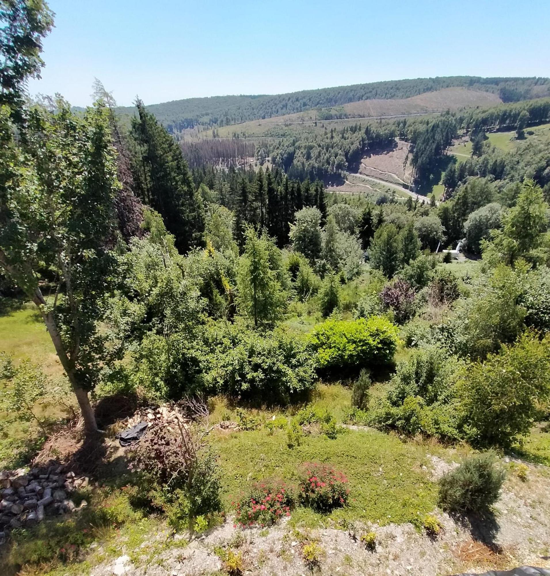 ווינטרברג Landhotel Fernsicht מראה חיצוני תמונה